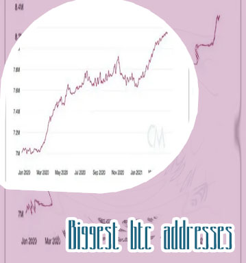 Biggest btc addresses