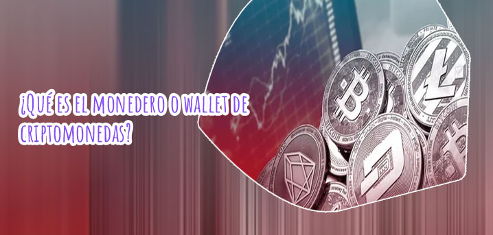 Billetera criptomonedas fisica