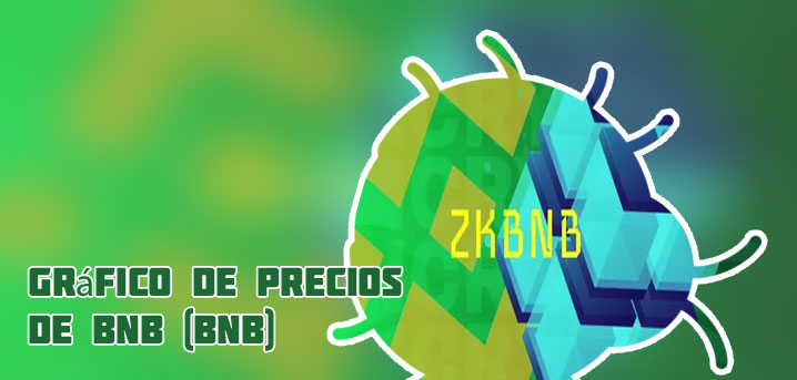 Bnb precio