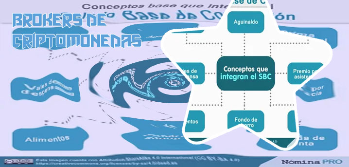 Como ver cotizacion criptomonedas