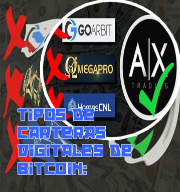 Cual es la mejor cartera de criptomonedas