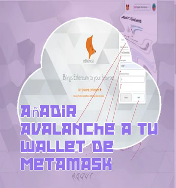 Metamask wallet btc